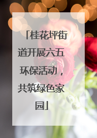 桂花坪街道开展六五环保活动，共筑绿色家园