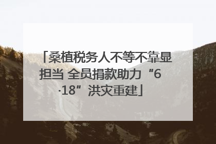 桑植税务人不等不靠显担当 全员捐款助力“6·18”洪灾重建