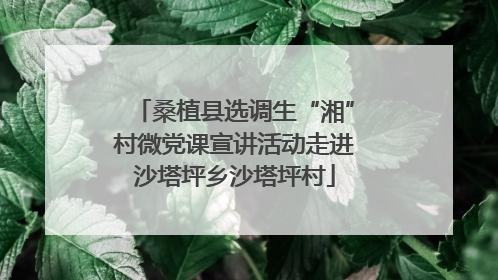 桑植县选调生“湘”村微党课宣讲活动走进沙塔坪乡沙塔坪村