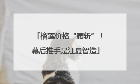 榴莲价格“腰斩”！幕后推手是江夏智造