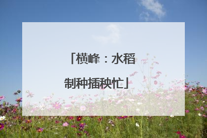 横峰：水稻制种插秧忙