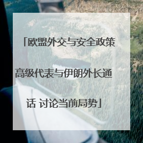欧盟外交与安全政策高级代表与伊朗外长通话 讨论当前局势