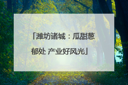 潍坊诸城：瓜甜葱郁处 产业好风光