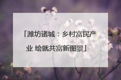 潍坊诸城：乡村富民产业 绘就共富新图景