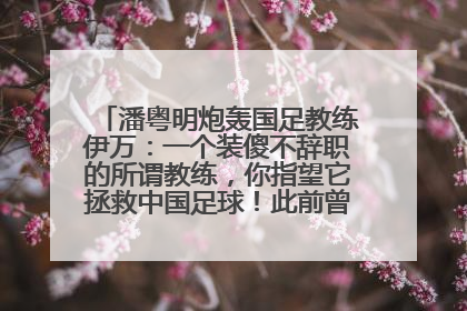 潘粤明炮轰国足教练伊万：一个装傻不辞职的所谓教练，你指望它拯救中国足球！此前曾多次发文评价国足