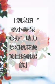 潮泉镇“桃小美·泉心办”助力梦幻桃花源项目扬帆起航