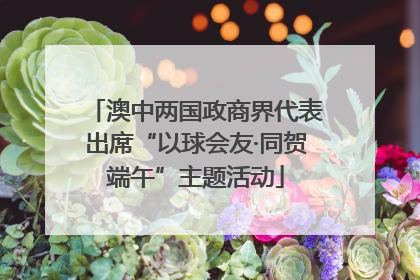 澳中两国政商界代表出席“以球会友·同贺端午”主题活动