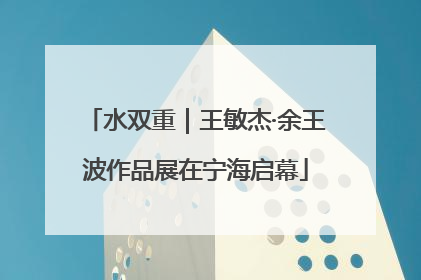 水双重｜王敏杰·余王波作品展在宁海启幕