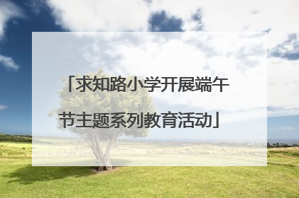 求知路小学开展端午节主题系列教育活动