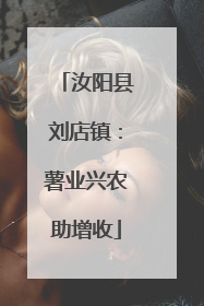 汝阳县刘店镇：薯业兴农助增收