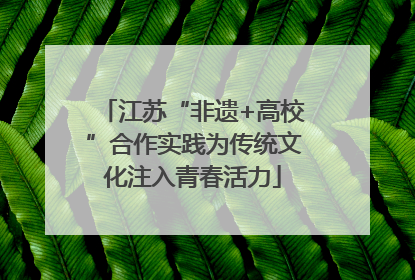 江苏“非遗+高校”合作实践为传统文化注入青春活力