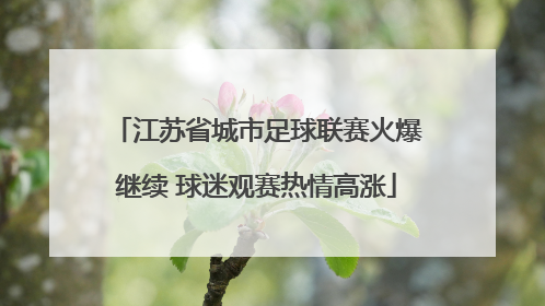 江苏省城市足球联赛火爆继续 球迷观赛热情高涨