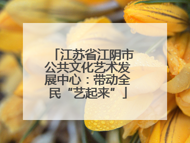 江苏省江阴市公共文化艺术发展中心：带动全民“艺起来”