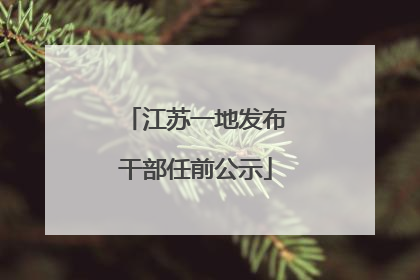 江苏一地发布干部任前公示
