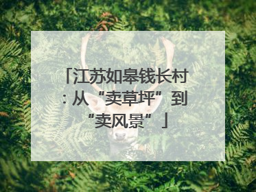 江苏如皋钱长村：从“卖草坪”到“卖风景”
