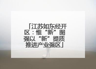 江苏如东经开区：惟“新”图强以“新”提质推进产业强区