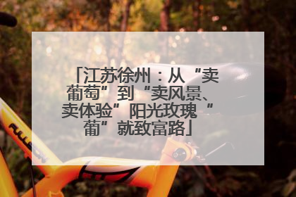 江苏徐州：从“卖葡萄”到“卖风景、卖体验”阳光玫瑰“葡”就致富路