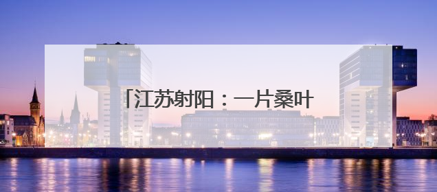 江苏射阳：一片桑叶里的乡村共富密码