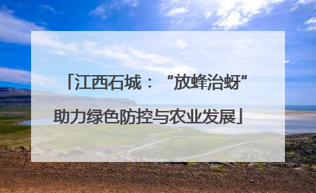 江西石城：“放蜂治蚜”助力绿色防控与农业发展
