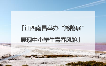 江西南昌举办“鸿鹄展” 展现中小学生青春风貌