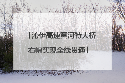 沁伊高速黄河特大桥右幅实现全线贯通