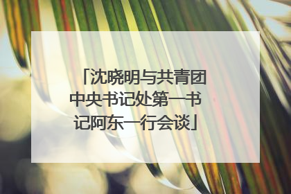 沈晓明与共青团中央书记处第一书记阿东一行会谈