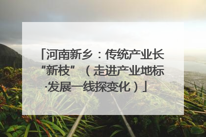 河南新乡：传统产业长“新枝”（走进产业地标·发展一线探变化）