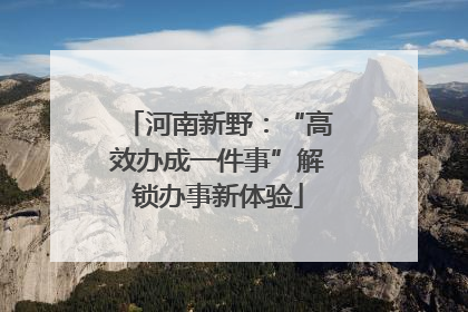 河南新野：“高效办成一件事”解锁办事新体验