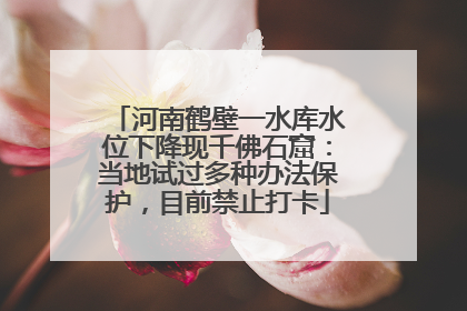 河南鹤壁一水库水位下降现千佛石窟：当地试过多种办法保护，目前禁止打卡