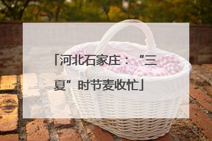 河北石家庄：“三夏”时节麦收忙