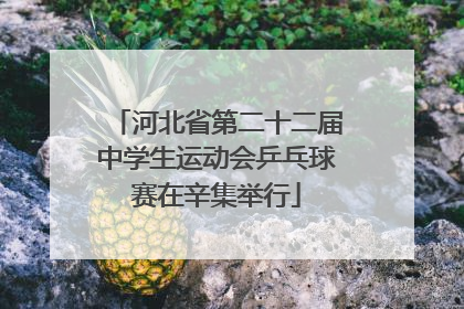 河北省第二十二届中学生运动会乒乓球赛在辛集举行