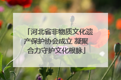 河北省非物质文化遗产保护协会成立 凝聚合力守护文化根脉
