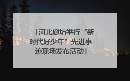 河北廊坊举行“新时代好少年”先进事迹现场发布活动