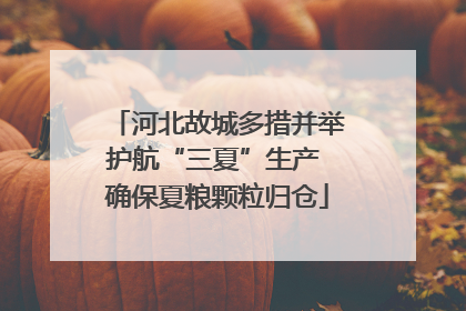 河北故城多措并举护航“三夏”生产 确保夏粮颗粒归仓