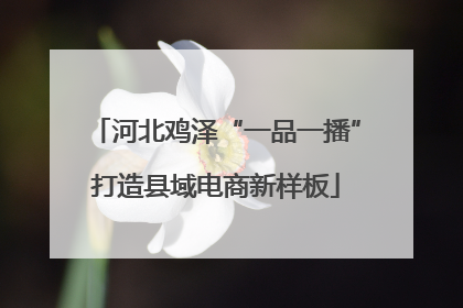 河北鸡泽“一品一播”打造县域电商新样板