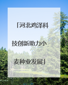 河北鸡泽科技创新助力小麦种业发展