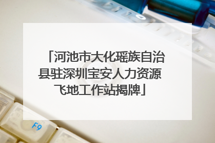 河池市大化瑶族自治县驻深圳宝安人力资源飞地工作站揭牌