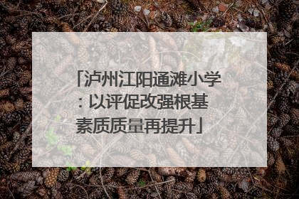 泸州江阳通滩小学：以评促改强根基 素质质量再提升