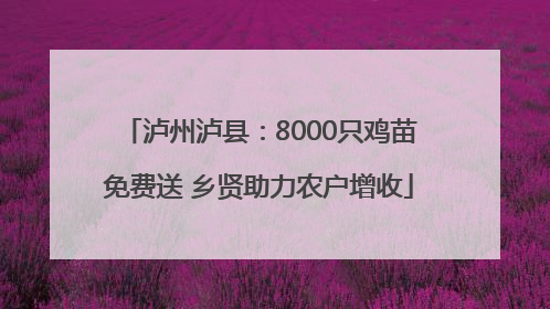 泸州泸县：8000只鸡苗免费送 乡贤助力农户增收