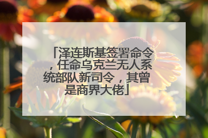 泽连斯基签署命令，任命乌克兰无人系统部队新司令，其曾是商界大佬