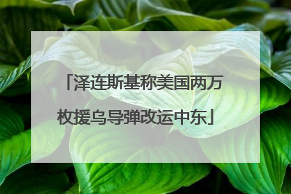 泽连斯基称美国两万枚援乌导弹改运中东