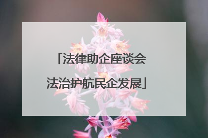 法律助企座谈会 法治护航民企发展