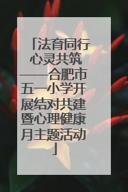 法育同行 心灵共筑——合肥市五一小学开展结对共建暨心理健康月主题活动