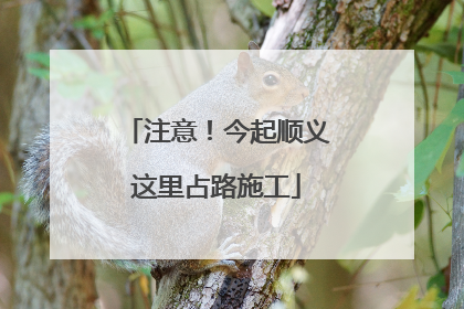 注意！今起顺义这里占路施工