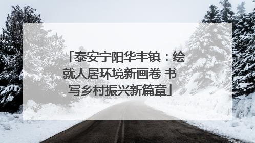 泰安宁阳华丰镇：绘就人居环境新画卷 书写乡村振兴新篇章