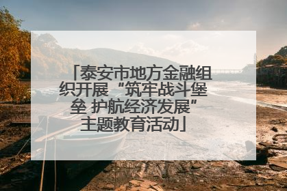 泰安市地方金融组织开展“筑牢战斗堡垒 护航经济发展”主题教育活动