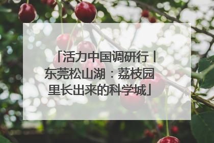 活力中国调研行丨东莞松山湖：荔枝园里长出来的科学城