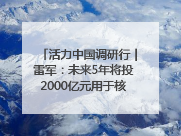 活力中国调研行｜雷军：未来5年将投2000亿元用于核心技术研发