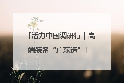 活力中国调研行｜高端装备“广东造”