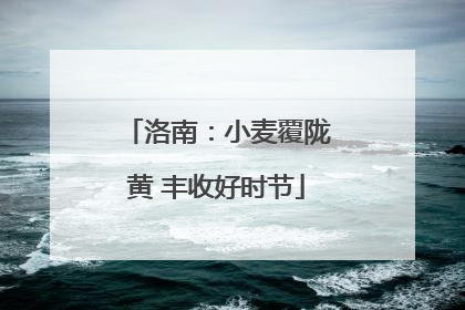 洛南：小麦覆陇黄 丰收好时节